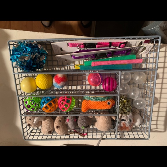 🐱🐶🐭🐹🐰🐸Pet Stuff🐱🐶🐭🐹🐰🐸 - Picture 12 of 14